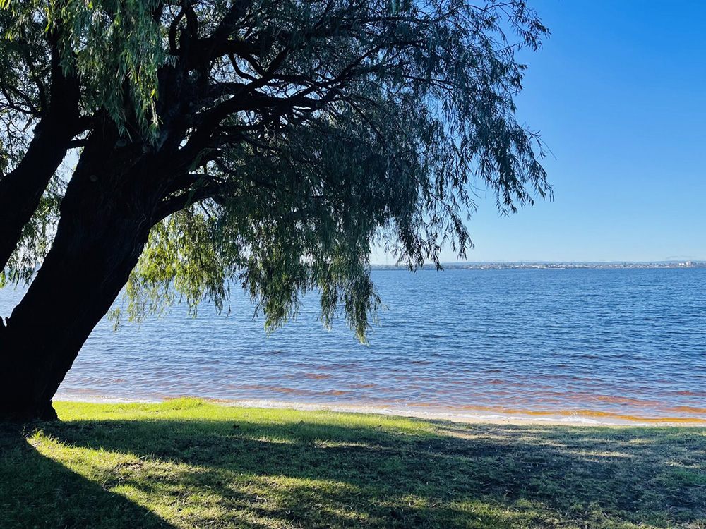 Matilda Bay Reserve overlooking the Swan River